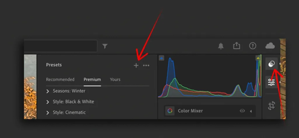 Adobe Lighroom Presets